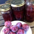 We planted an apricot tree and two plum trees four years ago: one satsuma plum and one blood plum. The plum trees were productive from the second year, and this […]