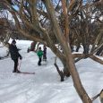 Lucky us, we managed to get away for a couple of days – weekdays! – to the snow. We stayed at a lovely freestanding ‘eco lodge’ just outside of Thredbo’, […]